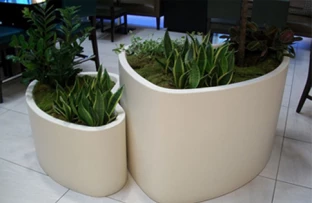 Text-will-be-place-here