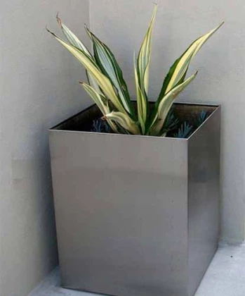 Stainless-Steel-Square-Planter