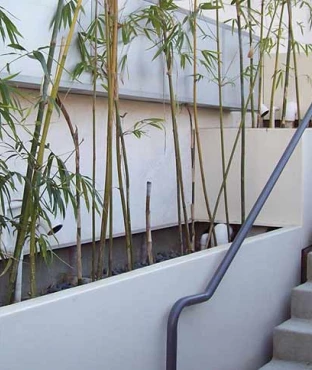 Stormwater-Planter2