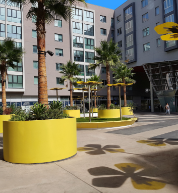 Chandler Round CHR.edited (2)