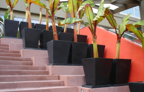 Tapered Square DSC00045 edited 