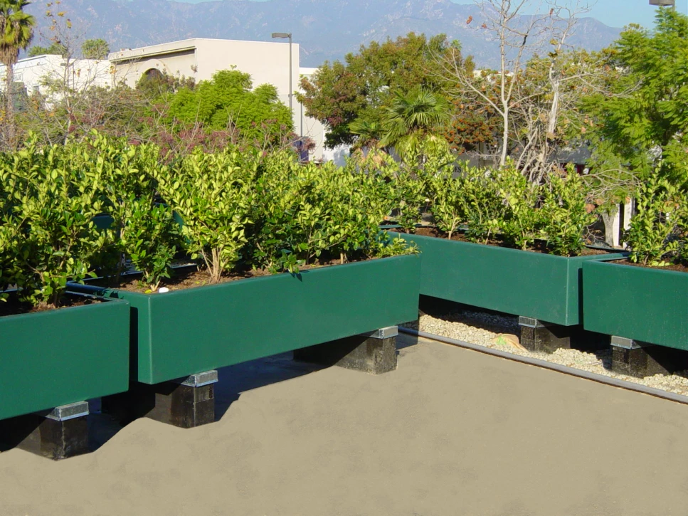 Rooftop Planters.JPG