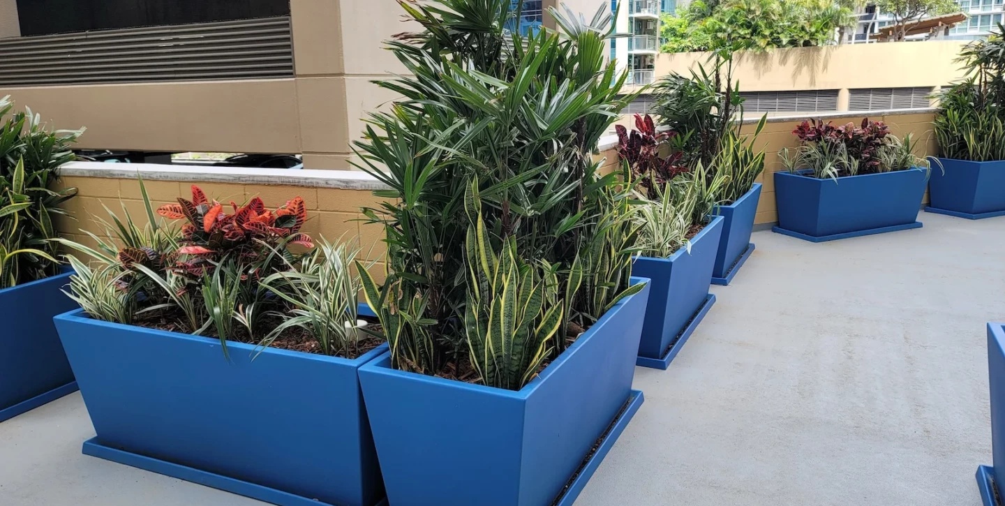 5148-63519-Planters